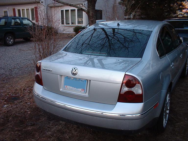 tinted tails.jpg