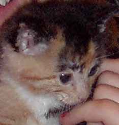PDR_0368.JPG