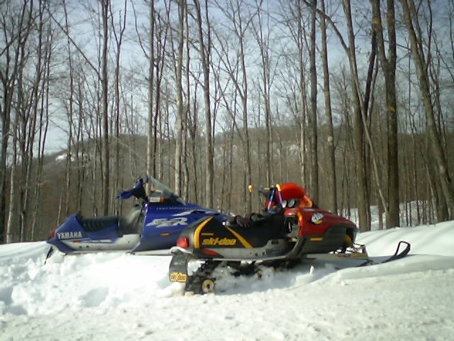 Picture_002.jpg