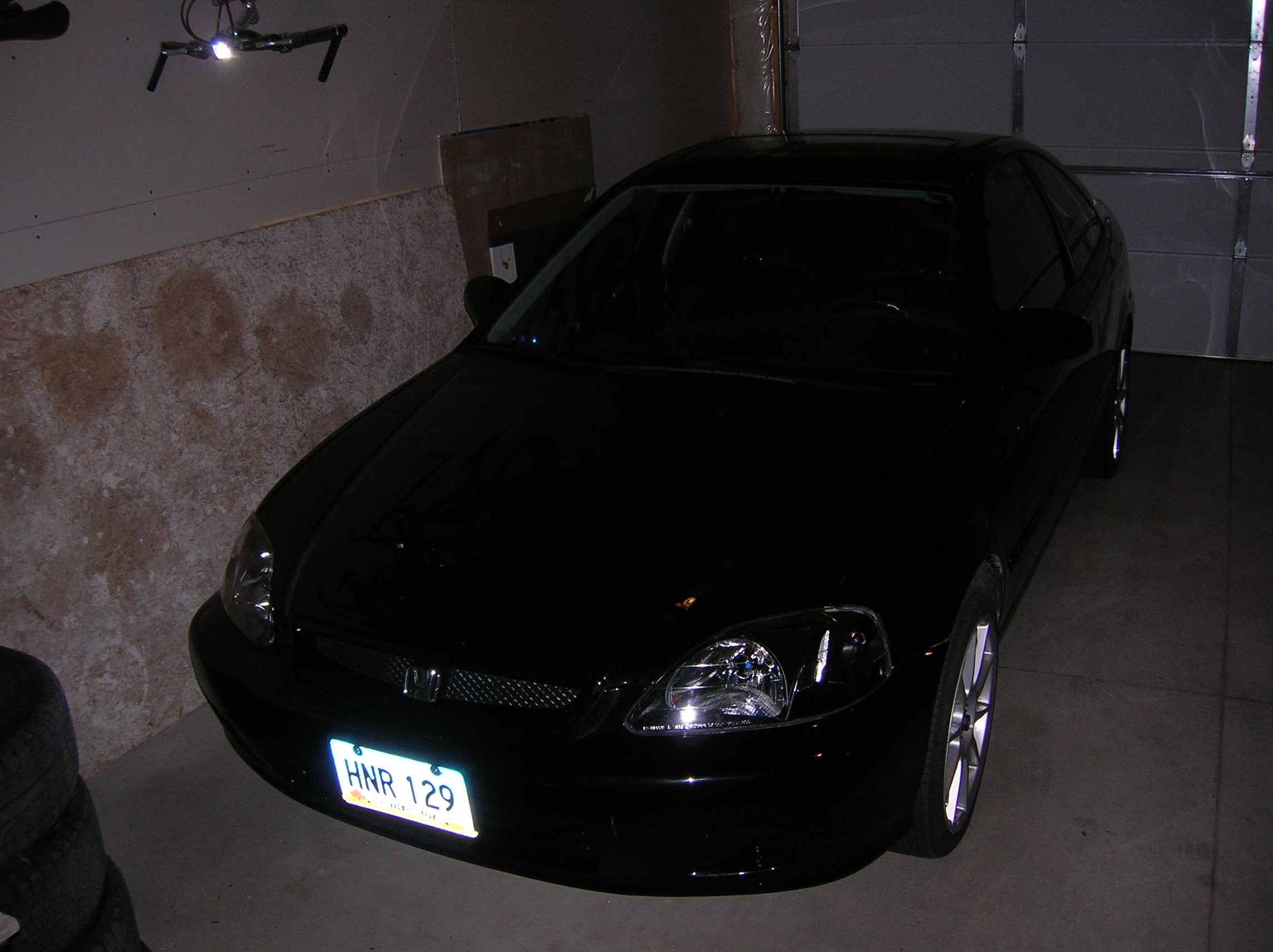 Picture 175.jpg