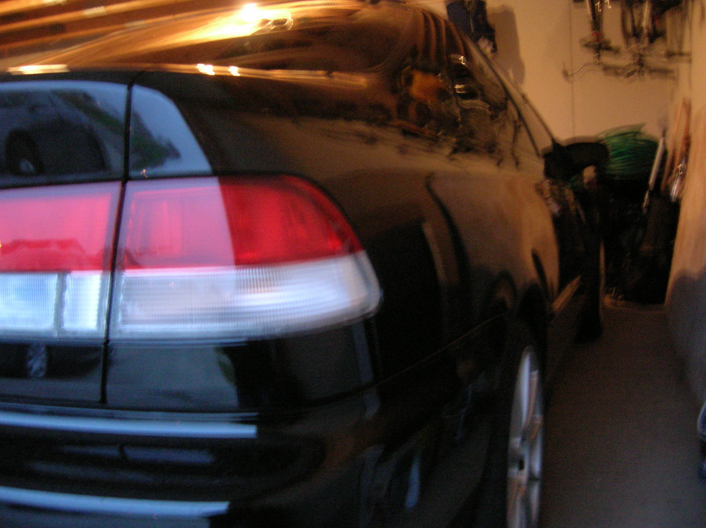 Picture 178.jpg