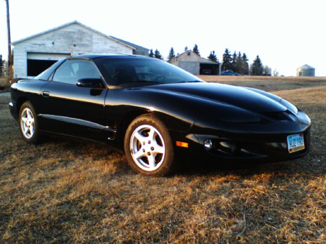 front nice angle.jpg