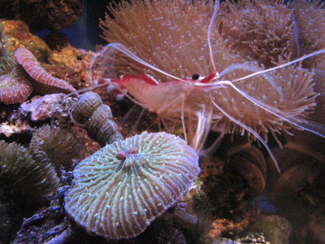 IMG_0620.jpg