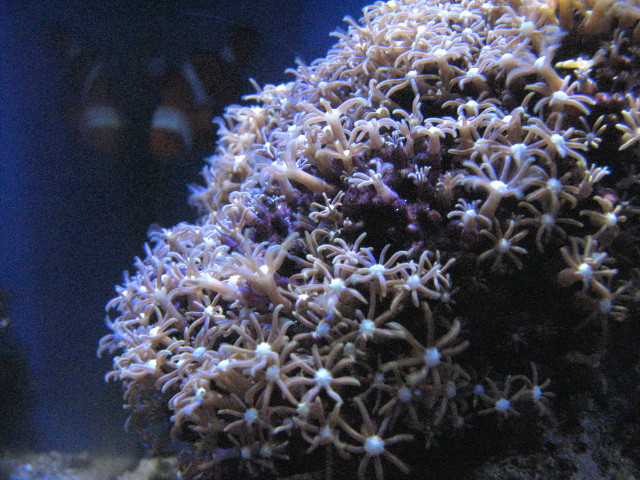 IMG_0633.jpg