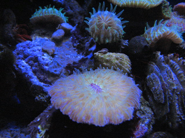 IMG_0642.jpg