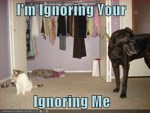 128296332312188750imignoringyou.jpg