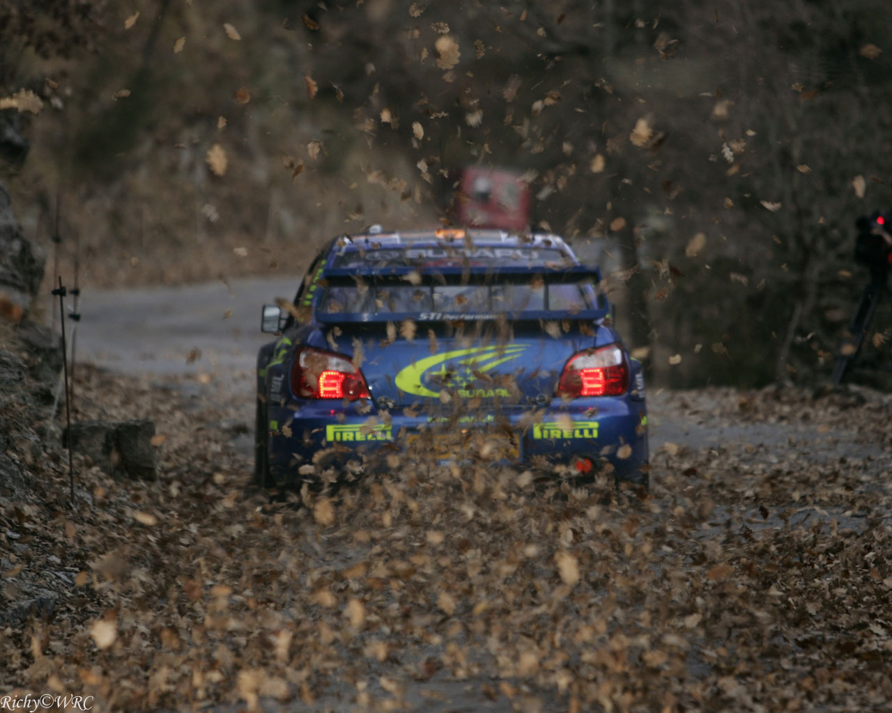 rallytastic.jpg