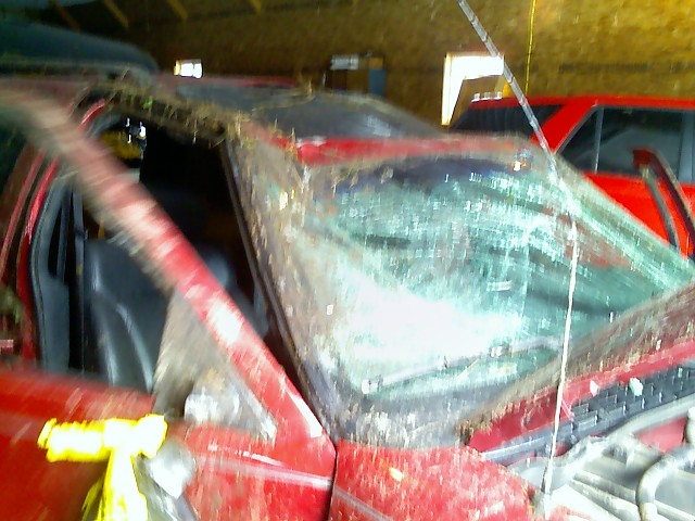 nick_s phone 4-14-08 024.jpg
