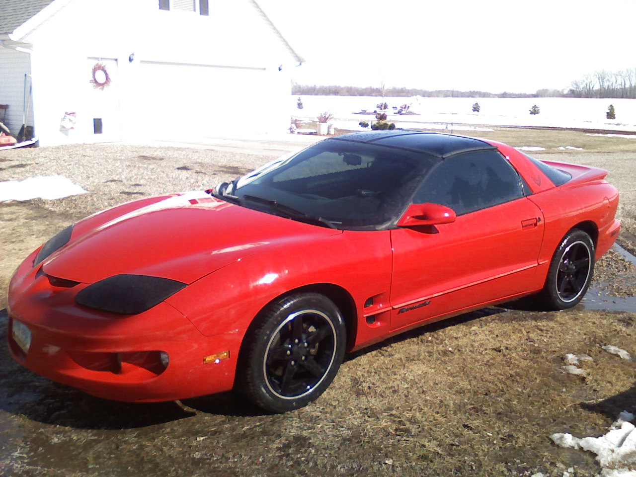 all washed.jpg