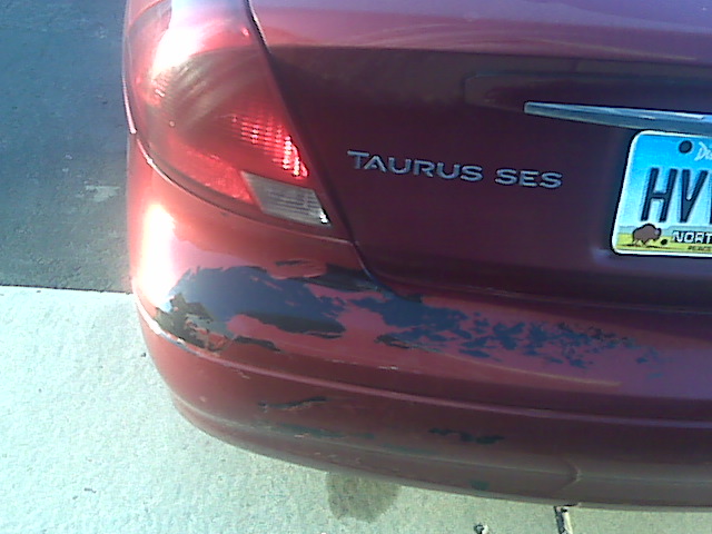 taurus2.jpg