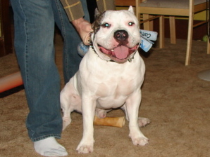 DSC05269.JPG
