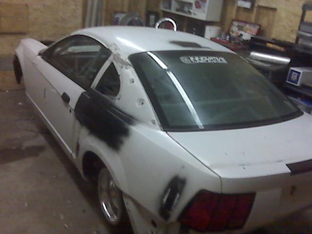 Mustang1.jpg