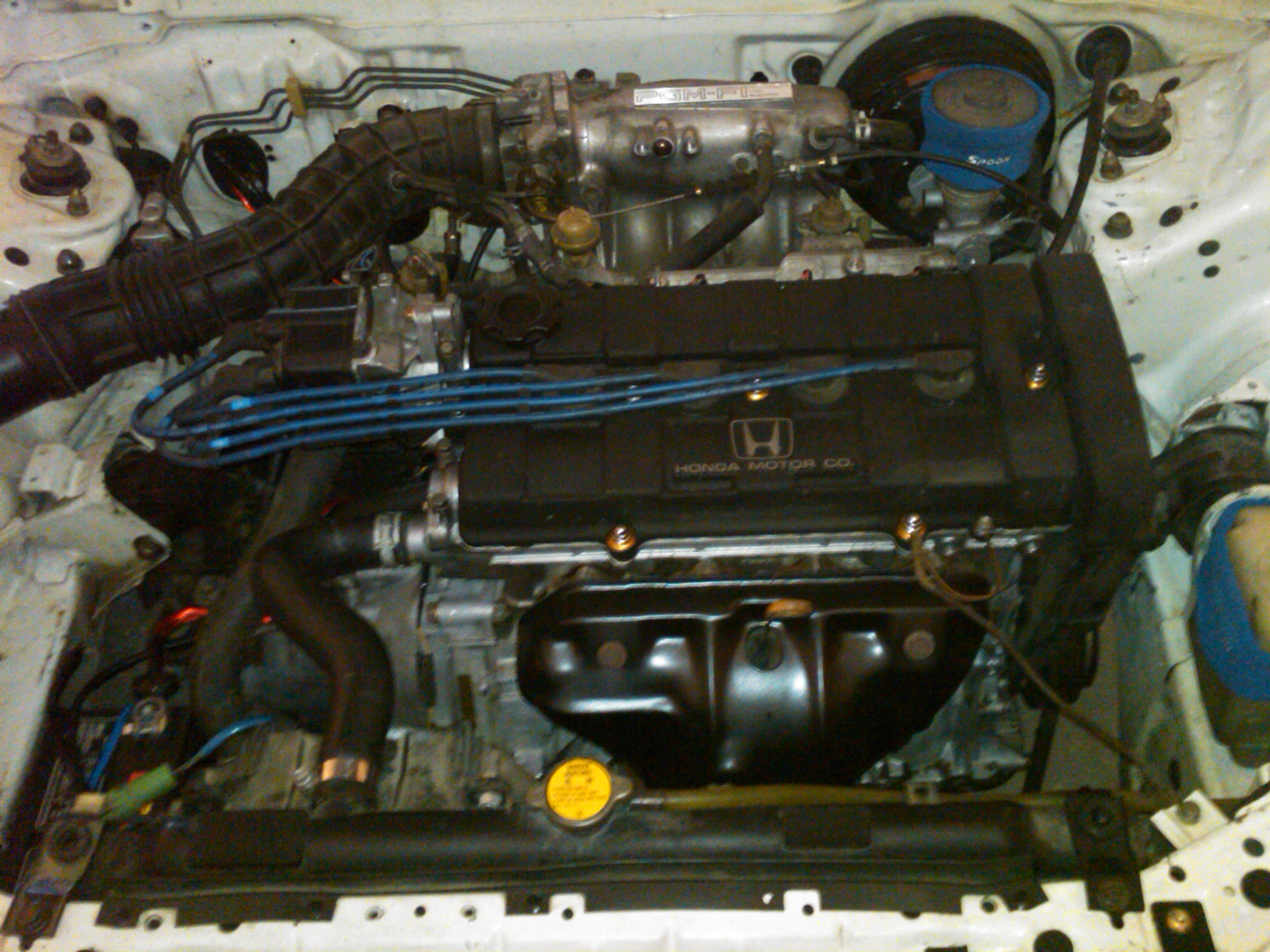 IMG00007-20100708-2003.jpg