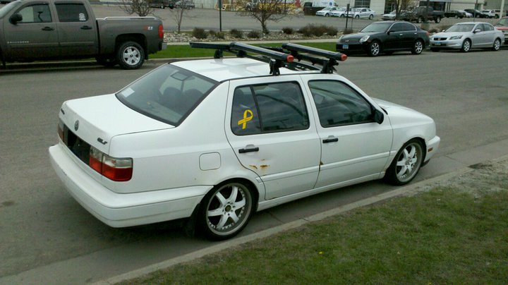 jetta.jpg