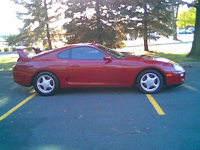 supra 3.jpg