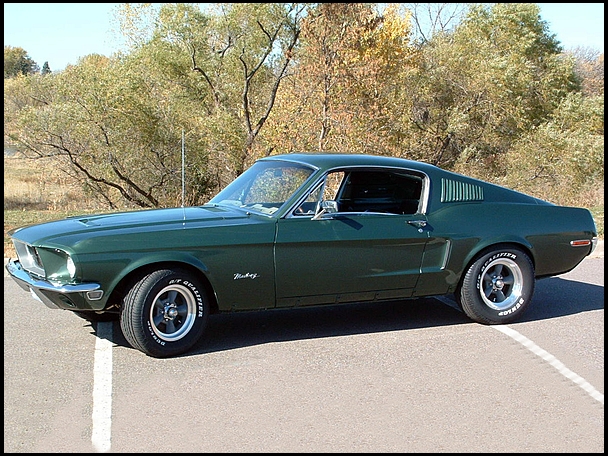 mustang3.jpg